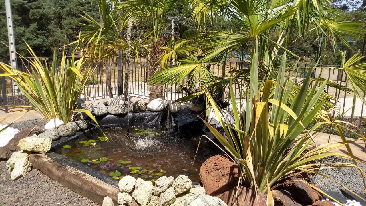 Hotel Rural El Nido De Pinares نافالينو المظهر الخارجي الصورة